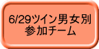 6/29ツイン男女別 　　参加チーム