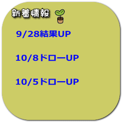 新着情報