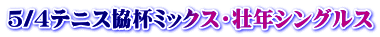 5/4テニス協杯ミックス・壮年シングルス