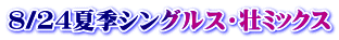 8/24夏季シングルス・壮ﾐｯｸｽ