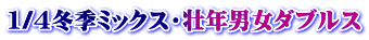 1/4冬季ミックス・壮年男女ダブルス