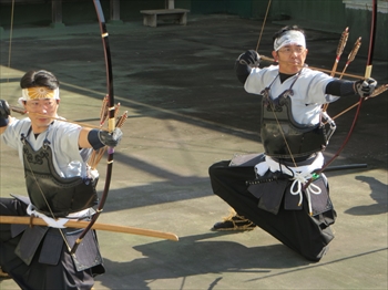 kosiya2