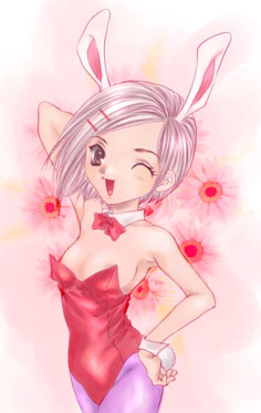 折り込み希のバニー