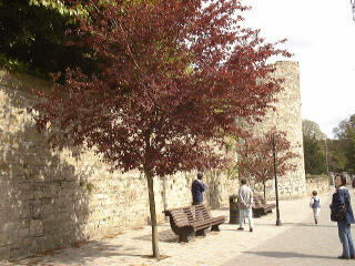 Trim Castle