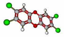 sDioxin-300x174.jpg(3995 byte)