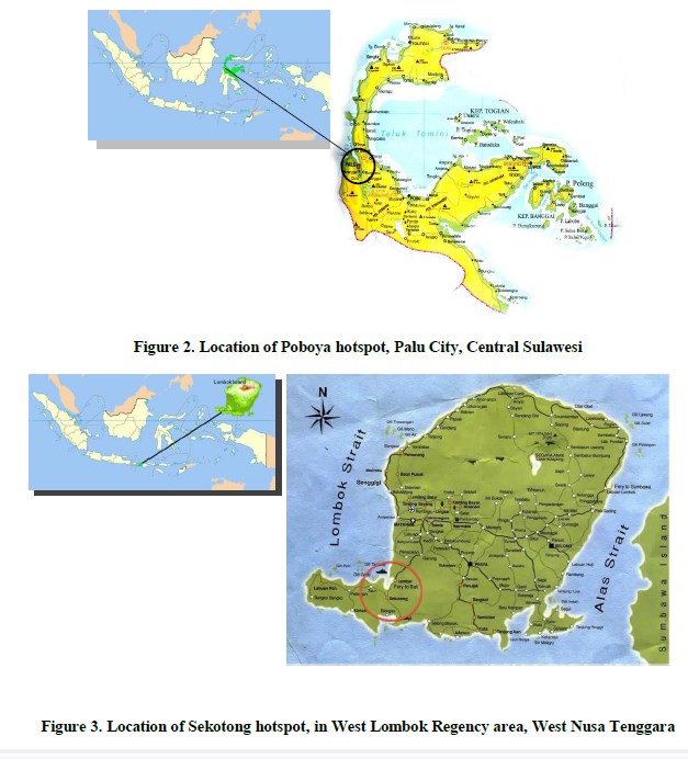 Fig2_Fig3_map.jpg(91998 byte)