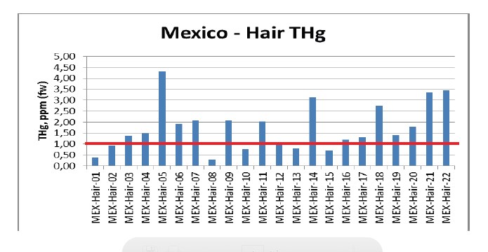 Mexico-Hair_THg.jpg(59332 byte)