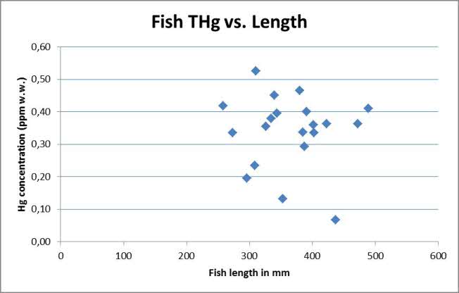 Fish THg vs, Length_75.jpg(19405 byte)