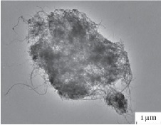 A_cluster_of_airborne_carbon_nanotubes.jpg(14006 byte)