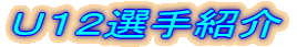 tPQIЉ