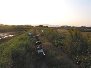 ��h��̂�����