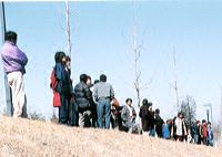 �f���\�������Ȃ���