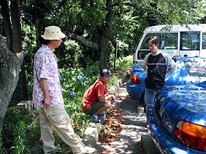 �f���\��