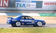 �X�J�C���C��