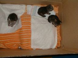 �V������