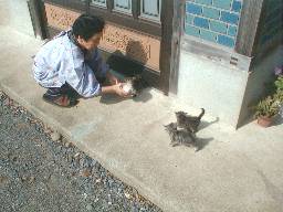 ���֑O�œ����ڂ����i�c��j