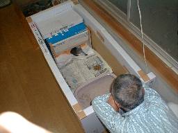 ����i��O�͐e���j