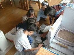 �e�L vs �q��