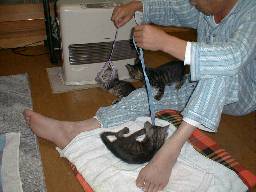 �q���ɃW�������e�L�B