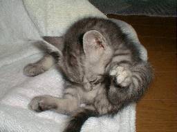 �q���قǂ��̌�̈ꕞ�B