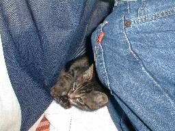 �㒅�̒��ցB