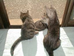 �͂�t�̓����ɒ��ڂ���e�L����