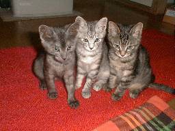 �������H