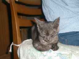 �������Q�Ă����B