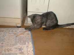 ���蔢�ŗV���Ă����B