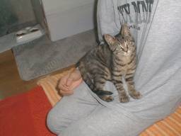 �q�U�ɏ���N