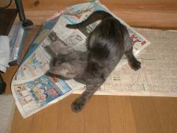 ����Ԃ����Ă����