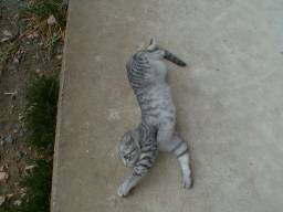 �S���S������t�H�����B