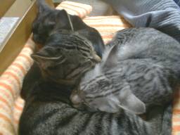 �������Q�B