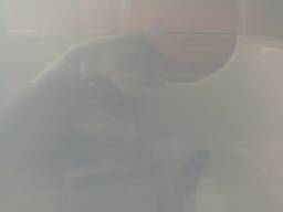 �V�^�L�g�C��