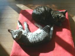 �����̒��ŁB