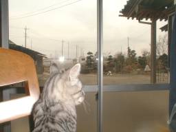 �֎q�ɂ̂��ĊO������t�H�����B