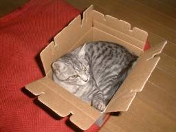 �����薺�Ȓt�H�����B