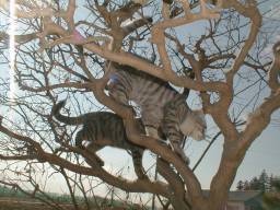 �ؓo�肷���N���Ă����B