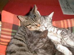 ������낦�āB