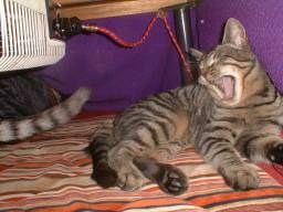 �傠���ё�N�B