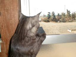 �O�ɏo���������Ă����B