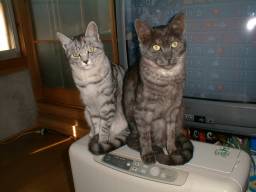 ��i�F�������N�B