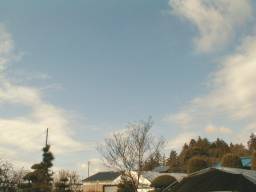 �ǂ����Ă���Ȃɐ��񂾂��[���I