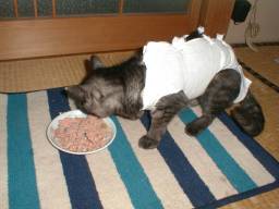 ���A���Ă����B