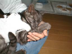 �G�Ŗ����Ă����B