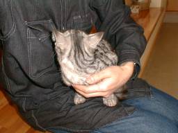 �a�@�̑ҍ����ɂāA�A�A�B