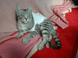 �R�^�c�̉��ɂāB