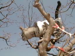 �ؓo�肷��t�H�����B