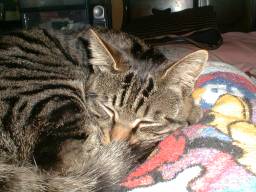 ��N�A�n�����B