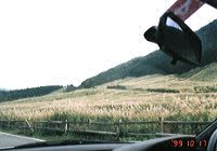 �X�X�L�̕���